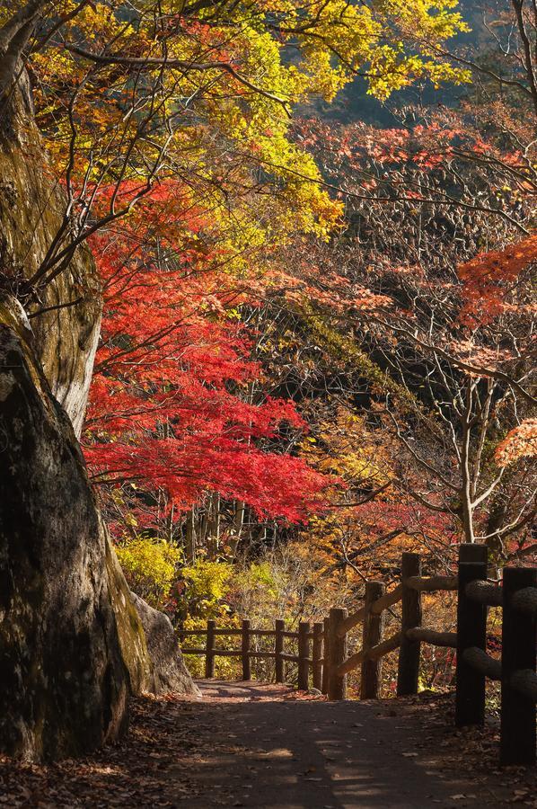 Osaka Ya Namba Vandrarhem Exteriör bild